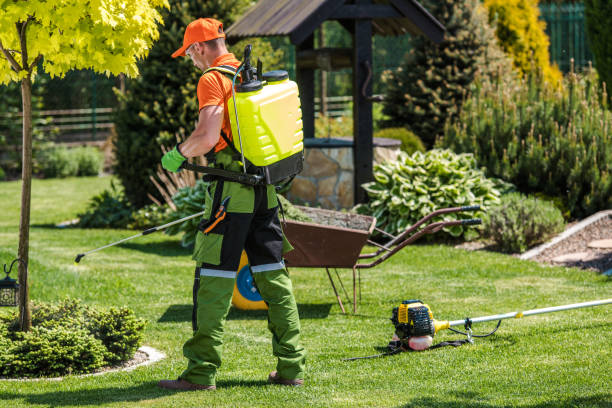 Best Fumigation Services  in Center Line, MI